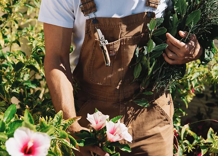 Ammothines Cycladic Apartmán *