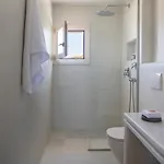 Ammothines Cycladic Apartment