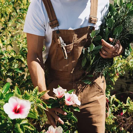 Ammothines Cycladic Szálloda 5*