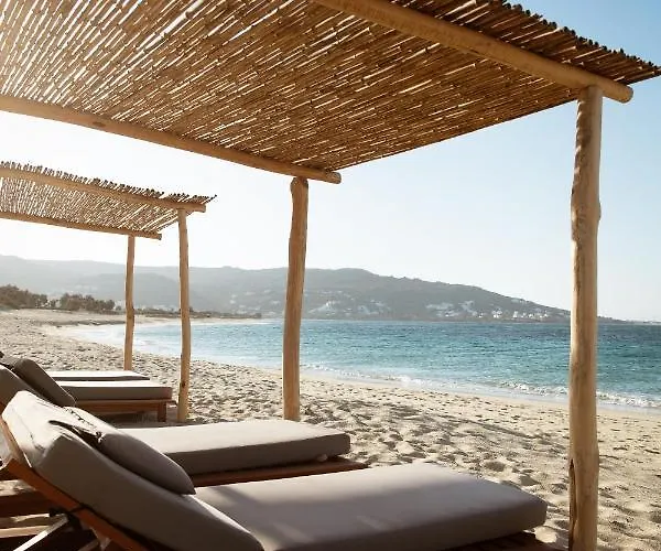 Ammothines Cycladic *